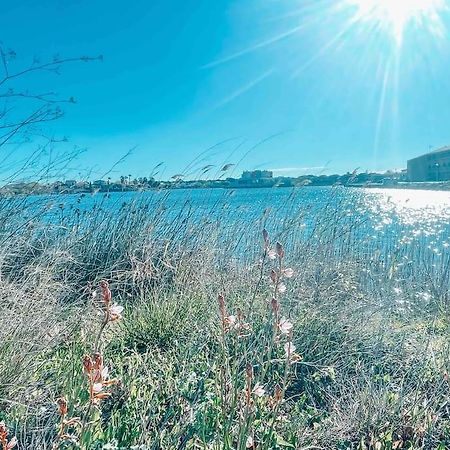 La Casita ,Appartement Face A L'Etang Le Barcarès Zewnętrze zdjęcie