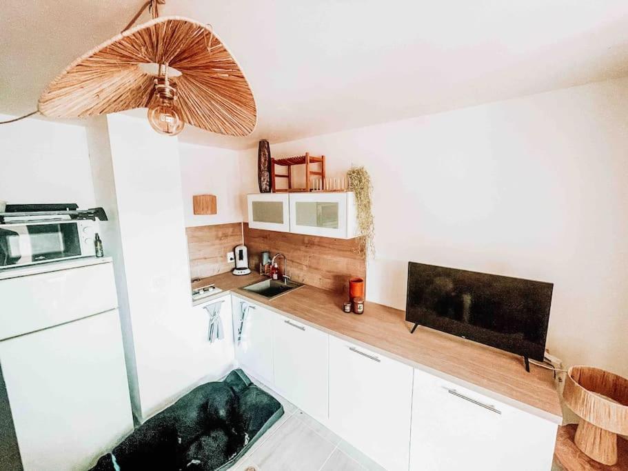 La Casita ,Appartement Face A L'Etang Le Barcarès Zewnętrze zdjęcie