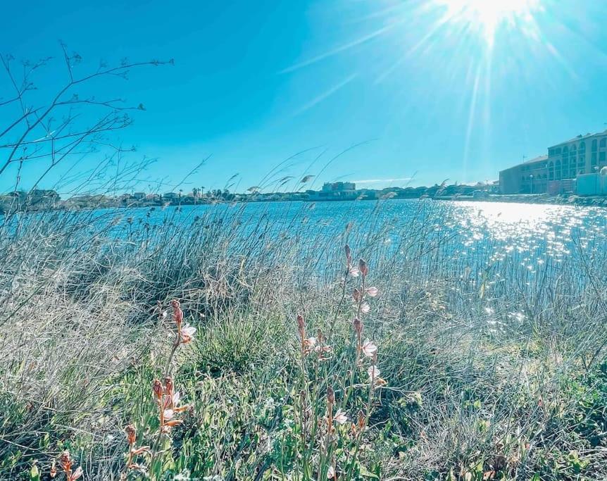 La Casita ,Appartement Face A L'Etang Le Barcarès Zewnętrze zdjęcie